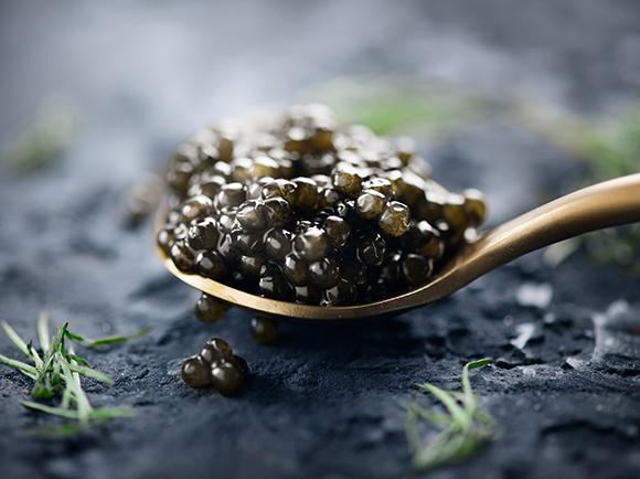 livraison de caviar belge